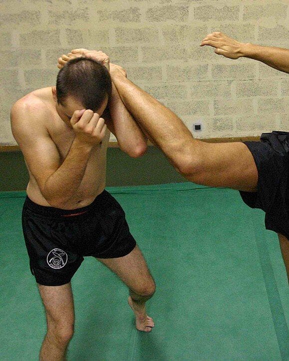 Roundhouse kick